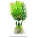 Ceratophylum Submersum Mini